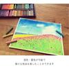 Sakura Craypas Thick 50 100th Anniversary Limited Edition VP50A2 Crayons, Roll, Colors,