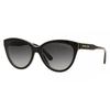 Women S 55 Mm SunglaSSeS Signature Chocolate