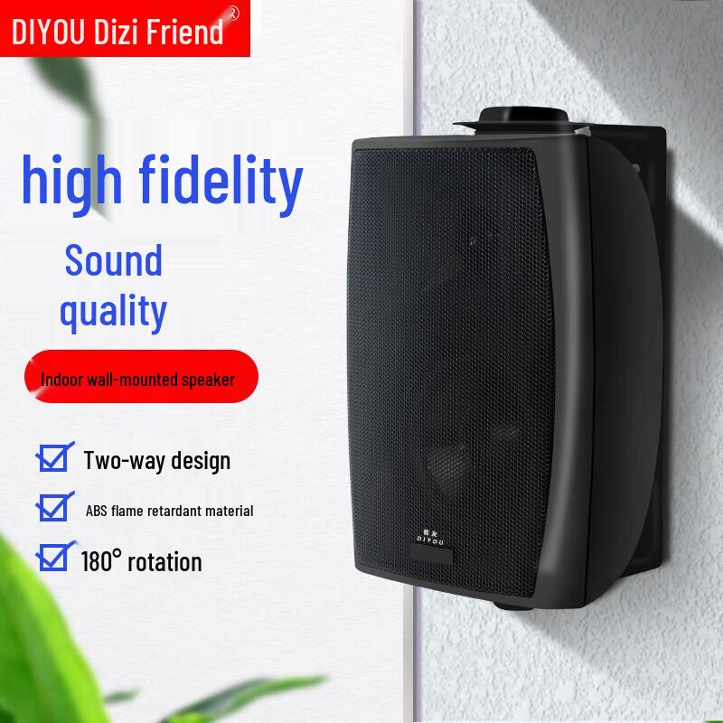 Diyou Wall-Mounted Conference & Broadcast Speaker System CN Plug (adapter Included) (CN Version)