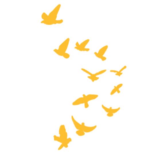 11Pcs/Set Wall Sticker Wide Application Convenient Acrylic Bird Vivid 3D Wall Decorative Sticker for Home