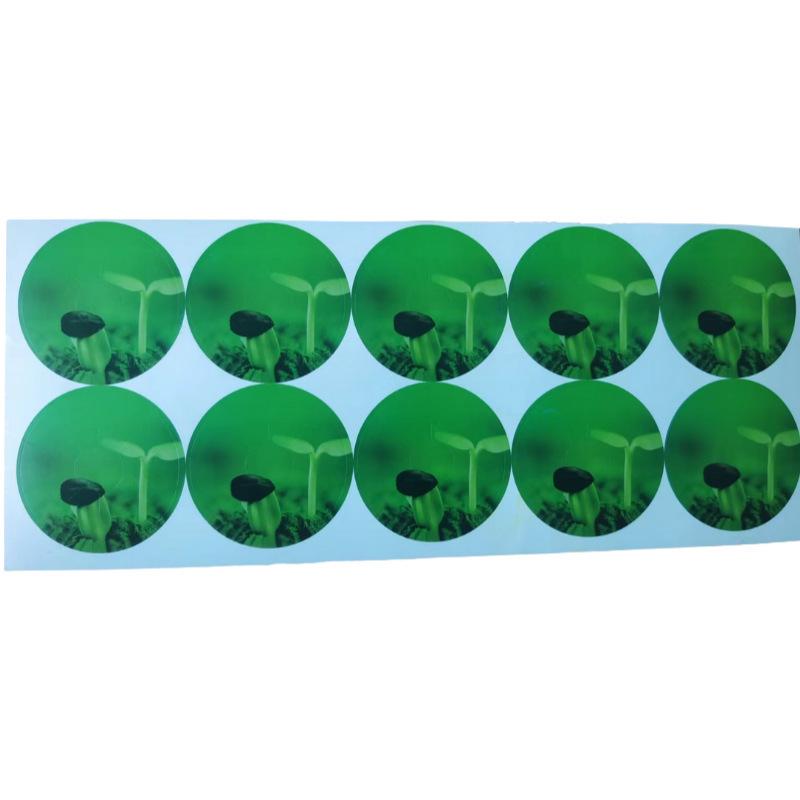 Cotton Biochar AB Fertilizer for Hydroponics Compatible with Aerogarden - Free Sample