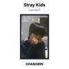 Stray Kids Ich bin KEINE offizielle Fotokarte