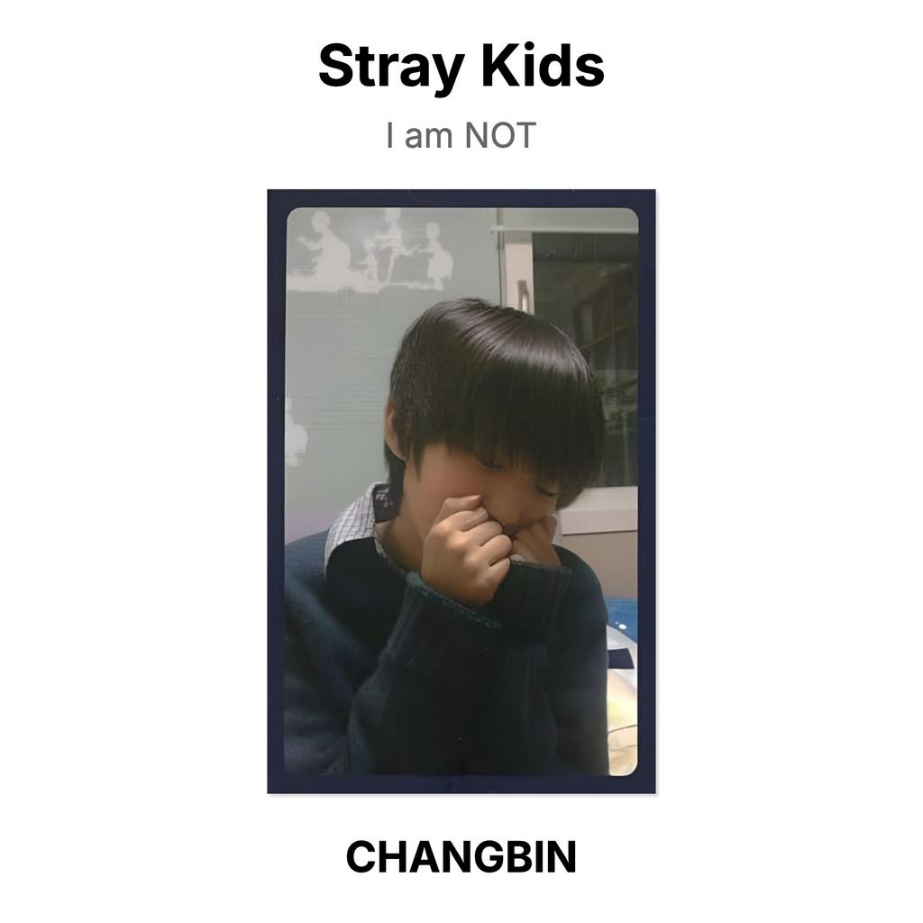 Stray Kids Ich bin KEINE offizielle Fotokarte
