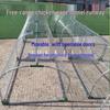 Iron Mesh Outdoor Chicken & Rabbit Tunnel Coop for Free-Range Farming