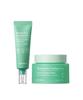 TONYMOLY Eoseongcho Cica Ampoule & Cream Set