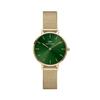 [Official Shop/2-Year Warranty/Authentic Import] Daniel Wellington DW Women's Petite Emerald 32mm Watch, Stylish Brand Metal Watch In Gold and Green,