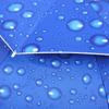 77cm Sunscreen Windproof Head Mounted Umbrella Top Folding Hat Umbrella(Raindrop Blue)