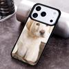 Labrador collage Cute Puppy Print Phone Case for iPhone 17 16 15 Pro Max Air 14 13 12 11 Plus Shockproof Capa Cover