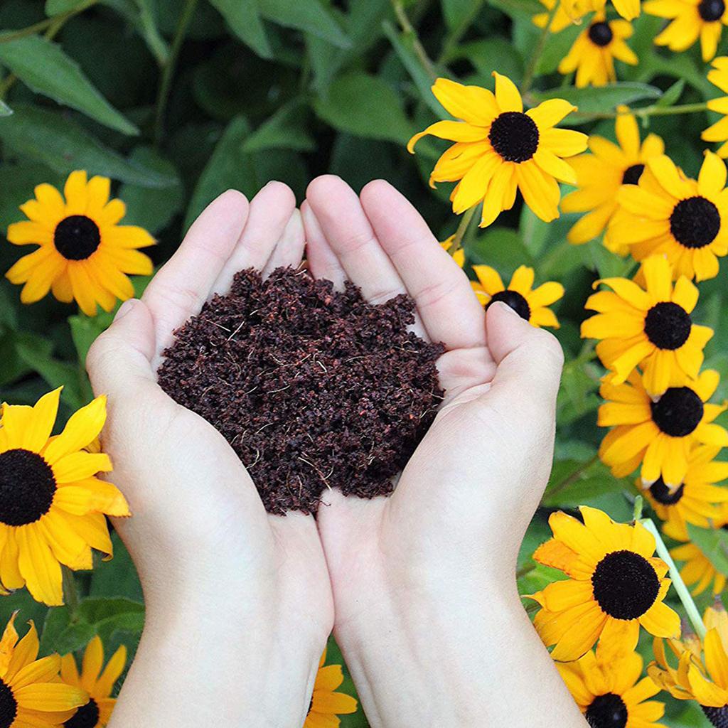 10pcs Coir Soil Disk Promoting Root Growth Fiber Coir Soil Disk 30 X 10mm