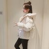 Manteau et veste à pain pour femmes, amples coréens, avec capuche, pour étudiantes, vêtements épais et chauds, hiver
