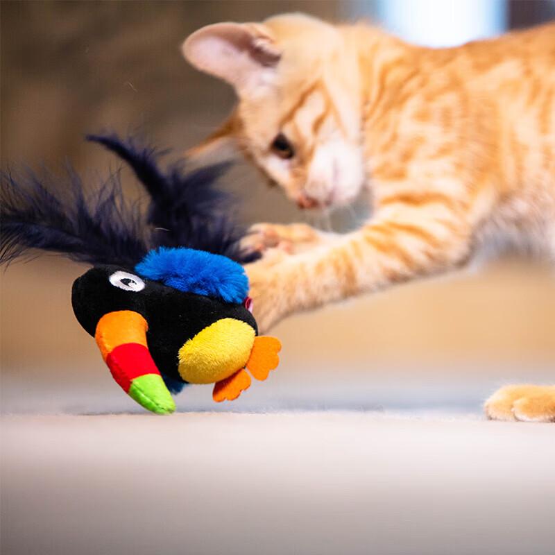 Squeaky Bird Cat Toy