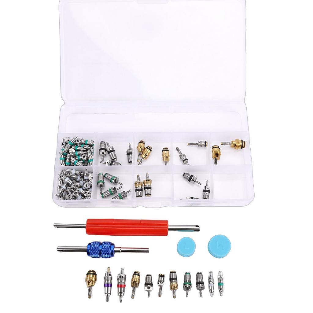 Kit di Accessori per Valvola di Condizionamento Auto da 104 Pezzi R134a R12 Set Valvole con Strumento Rimuovi Polvere per Auto Moto Camion