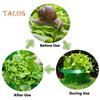 10/15/20Pcs Garden Cloches Planter Slug Collars Weather-Resistant Reusable Snail Defense Plant Cover Protectors