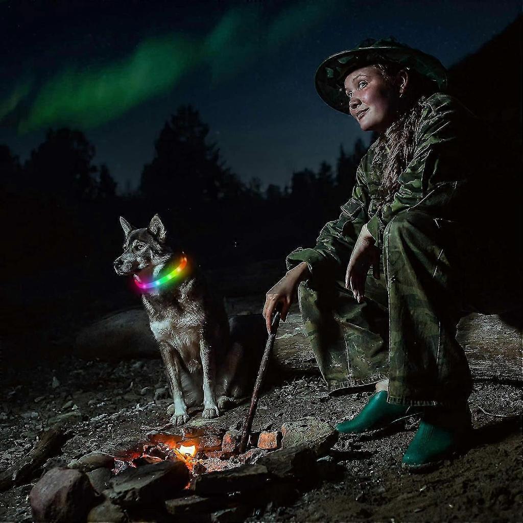 Led Dog Collar , Rechargeable Rainbow Color Changing Light Up Dog Collars, Waterproof Dog Lights Make Pet Visible And Safety For Night Walkingrainbow