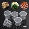 High Quality Sauce Box Disposable Transparent With Lid 50pcs Salad Dressings Seasoning Souffles Container Holder
