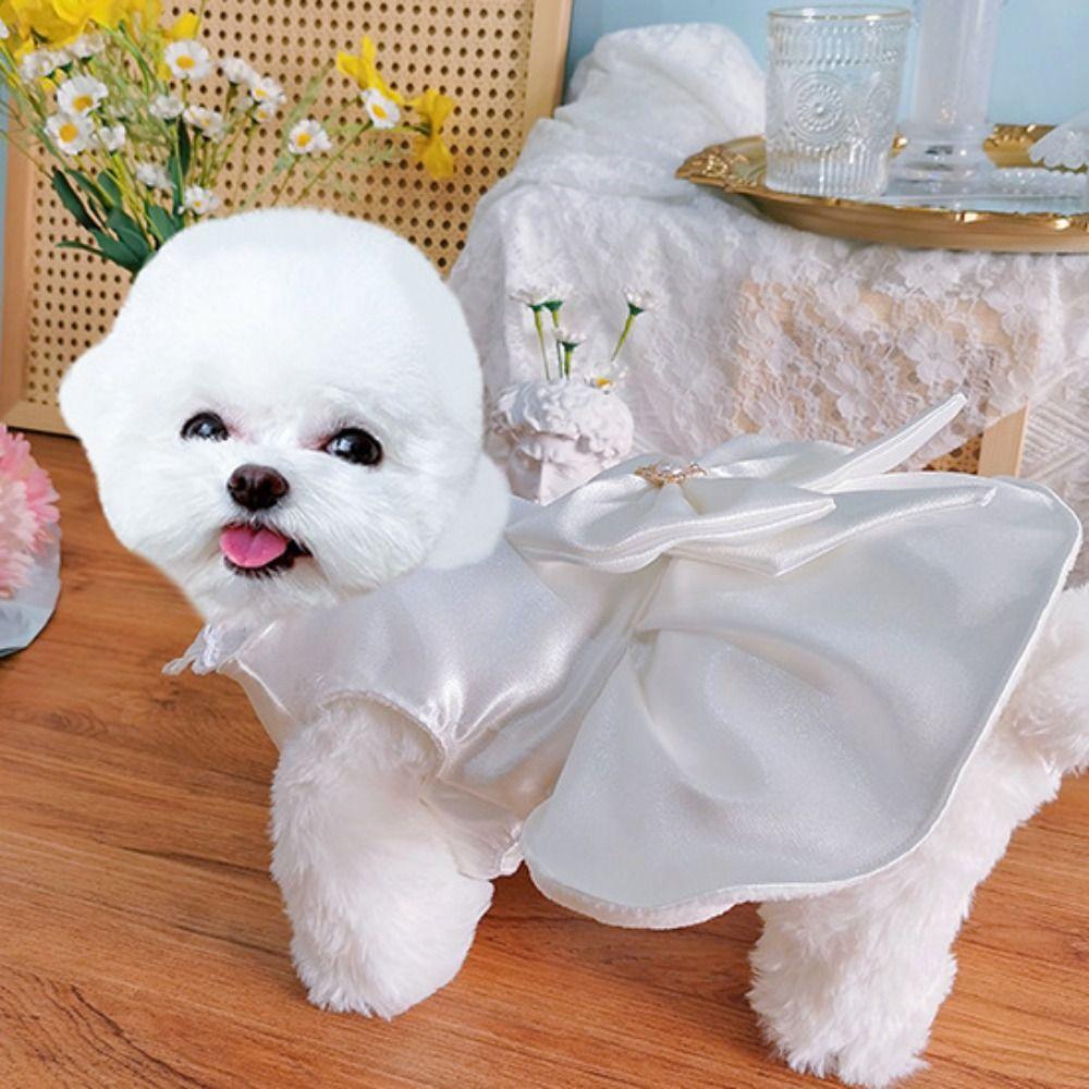 Fashion Pet Clothes Cute Cat Princess Skirt Comfortable Dog Wedding Dress  Spring Summer Autumn
