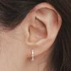 [silver925] Sage Cubic Earring