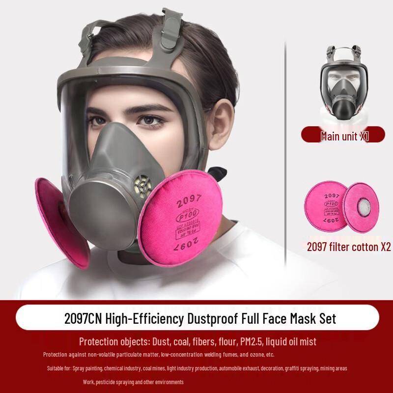 Longchan 6800 Full-Face Respirator Mask