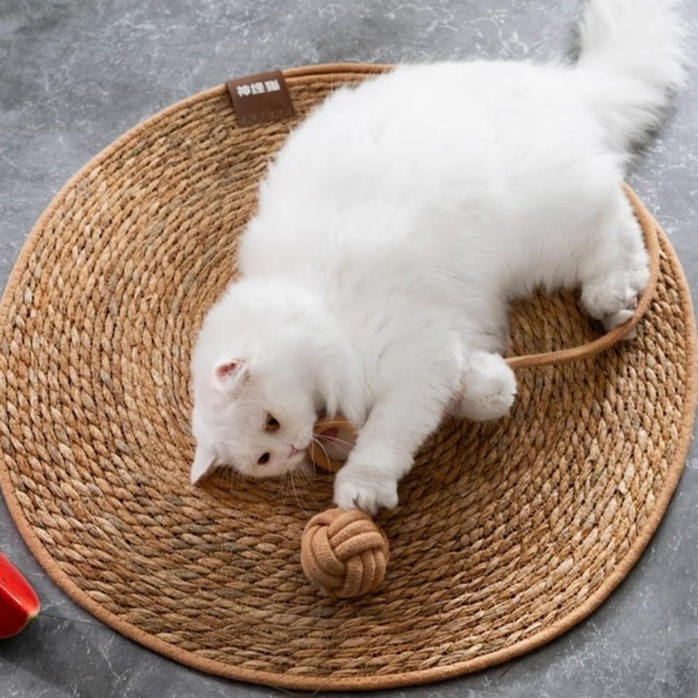 40/50/60cm Cat Scratcher Bed Round Couch Cat Scratcher Cat Scratch Pad  Pet Supplies
