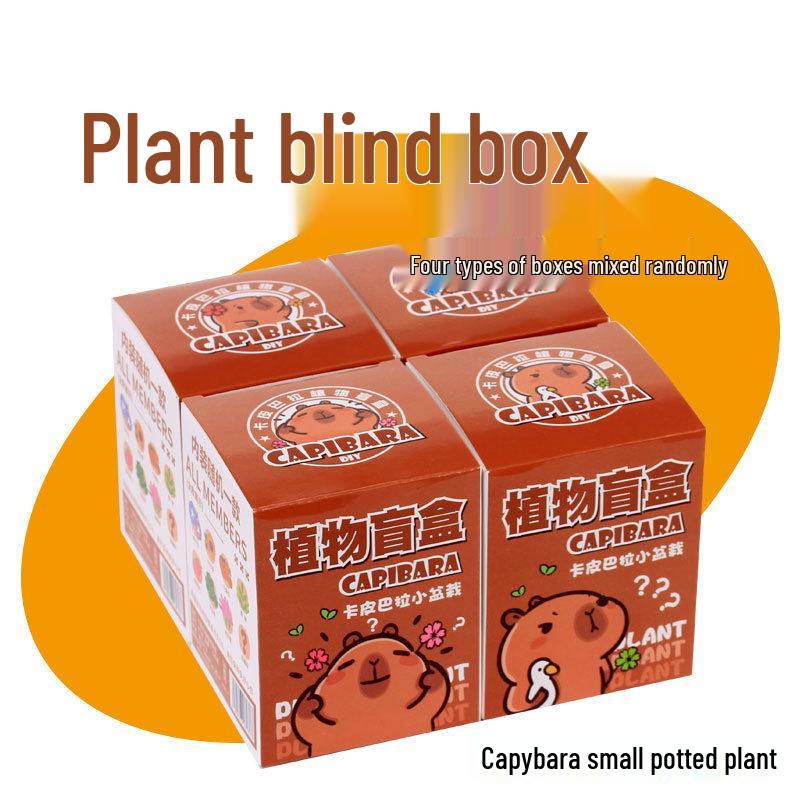 Capybara Schreibwaren Geschenkset: Überraschungsbox für Kinder - Schulbedarf-Packung