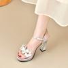Fashion French Silver Platform Heels Women's Summer Round Toe Flower One Buckle Block Heel Sandals