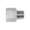 ASOH Stainless Steel Conversion Socket, Outer PT3/4 X Inner NPT3/4 NF8366