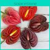 Anthurium Andraeanum Linden Fake Flower Diy Decoration For Modern Interior And Events