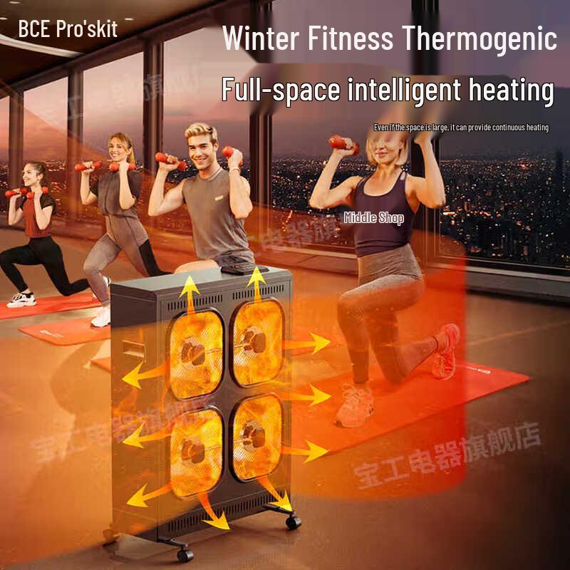 Pro'sKit Commercial Carbon Fiber Fan Heater