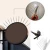 5 Strips Bird Spikes For Pigeons Small Birds,stainless Steel Bird Spikes -no More Bird Nests & Poop-disassembled Spikes
