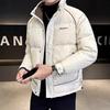 Fashion casual winter stand-up collar down jacket men's new short casual duck down cold and warm jacket cotton jacket