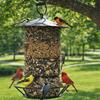 Cylindrical Hanging Bird Feeder Large Capacity Bird Feeding Tray Food Dispenser  Outdoor Use