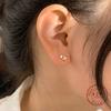 925 Sterling Silver Plating 14K Gold Exquisite Sparkling Zircon Stars Earring for Women Temperament Jewelry Gift
