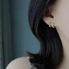 Bling Circular Cubic Layered Earrings