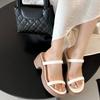 Heightened Platform Sandals for Women Spring and Summer New Style with Skirt French Sandals Block Heel Flip Slippers