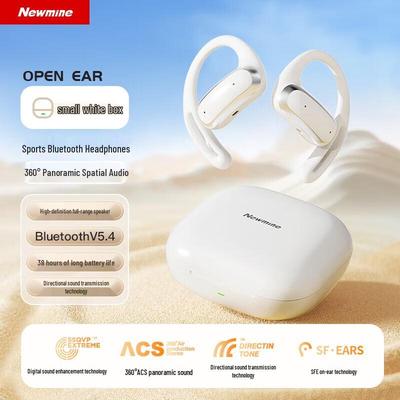 Newman LY55 OWS Open-Ear Bluetooth Sports Earbuds