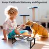 Elevated Cat Food Water Bowls 2 Stainless Steel Bowls with Metal Stand 15° Tilted Raised Cat feeding and water Bowls Pet Puppy