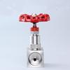 DN6 DN10 DN15 Vysokotlaká nerezová ocel 304 Řízení průtoku jehlovým ventilem se závitem