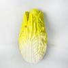 Simulated Vegetables, Artificial Vegetables, PU Material Realistic Vegetables for Home Kitchen Decor Teaching Aid Display Models