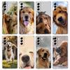 Klare Handyhülle für Samsung Galaxy S24 Plus S23 FE S22 S21 S20 Ultra 5G S10 S10E S9 S8 Weiche Hülle Labrador Golden Retriever Hund