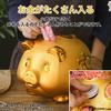 RYOHIN Pig Money Good Increase Your Lucky Feng Interior 1 Piece Lab. Box, Gold, Fortune, Fortune, Item, Shui, Decoration, (Large)