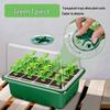 12-Hole Succulent Seedling Tray Set with Lid – Moisture & Temperature Control