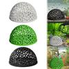 Fish Tank Tunnel: Aquarium Decoration For To Rest Feed Play And Breed Christmas Ornament Pack