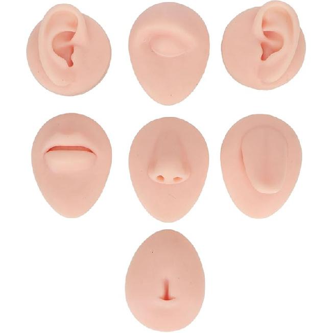 Soft Silicone Flexible Model Body Part Displays Set, Silicone Tongue Mouth Navel Ear Model for Piercing Practice and Jewelry Display Acupuncture