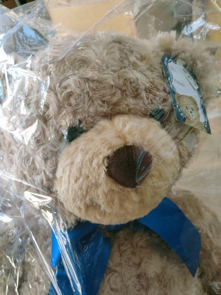 [USED] Large teddy bear
