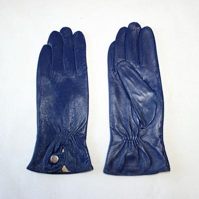 Women's Leather Gloves Plus Cashmere Warm Autumn and Winter Outdoor Electric Bike Riding and Driving Color Sheepskin Gloves