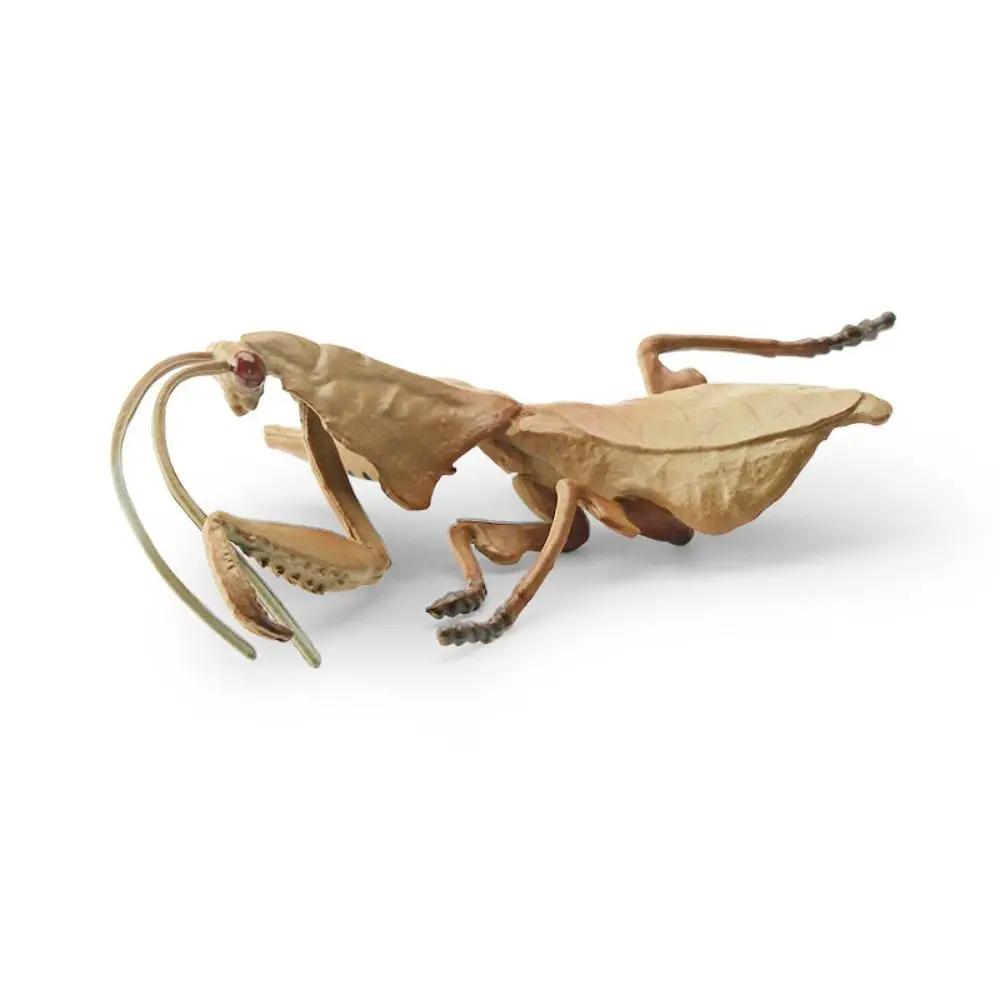 2Pcs Funny Plastic Locust Animal Model Vivid Cartoon Locust Statue Early Educational Animal