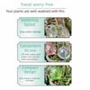 500ml Automatic Watering Ball Plastic Water Penetrating Device  Succulent Plants