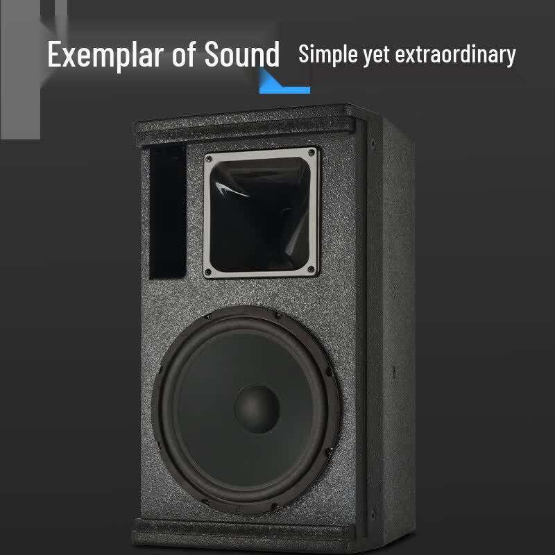 Kayula Professional Stage HIFI Speaker (CN version)