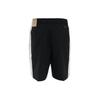 Jordan Drawstring Sport Casual Breathable Shorts Men Bottoms Multicolor DH9082-010