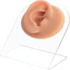 1set Acrylic Earring Display Stands with Navajo White Silicon Imitation Ear for Stainless Steel Jewerly Display Clear Stand: 8x5.1x10.2cm Hole: 57mm